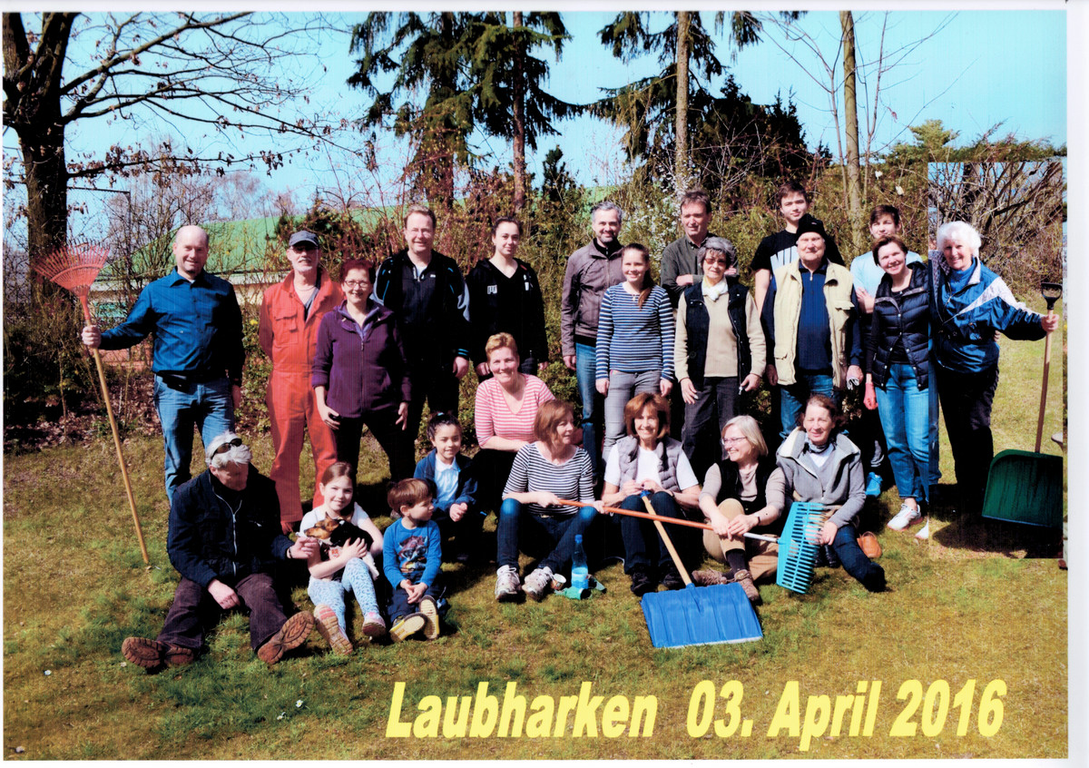 Laubaktion 2016